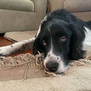 Meet your Posher, Lindsey